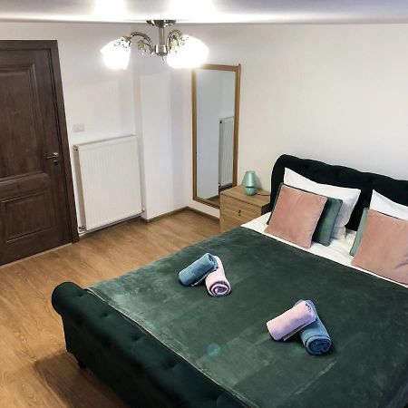 Ultra central apartment, free parking Oradea - Stray Cats Esterno foto
