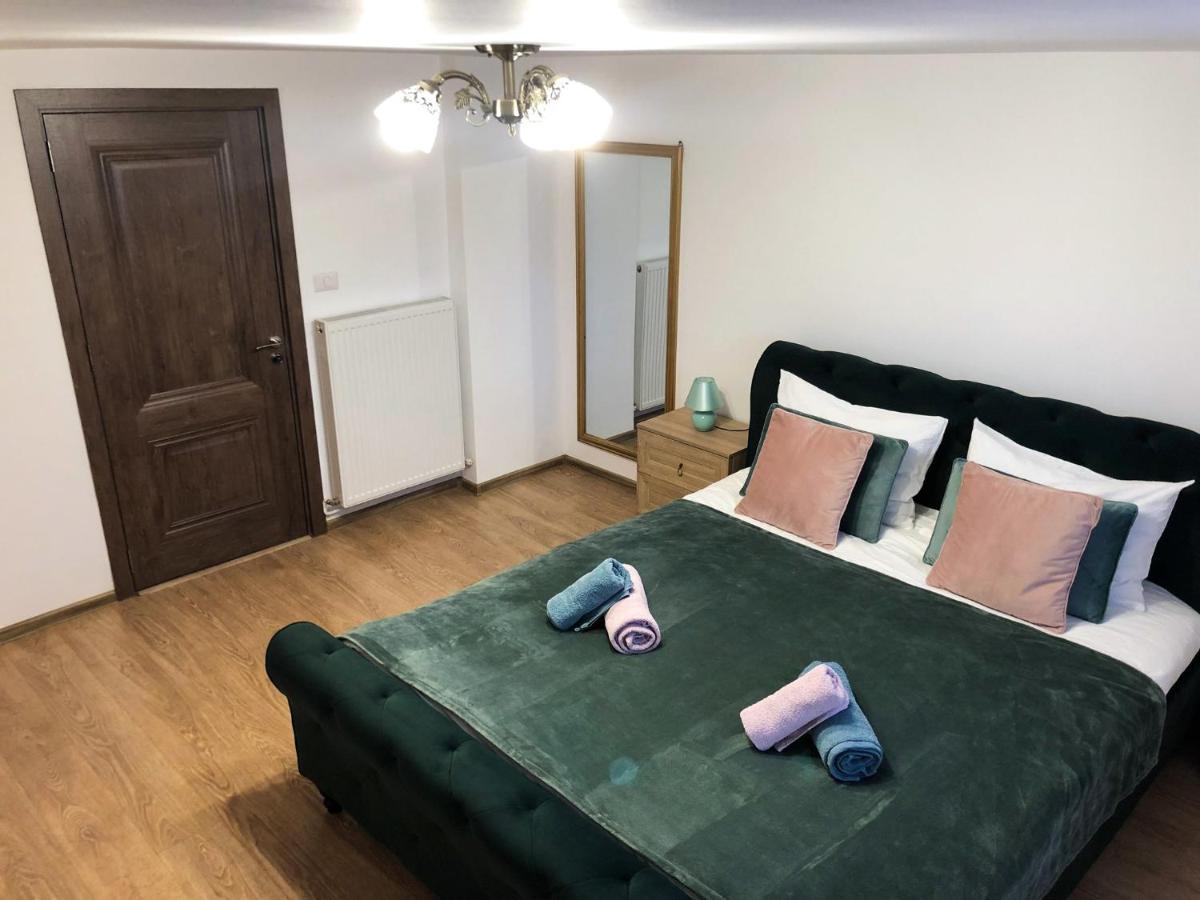 Ultra central apartment, free parking Oradea - Stray Cats Esterno foto